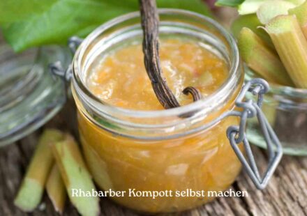 Rhabarber Kompott selbst machen