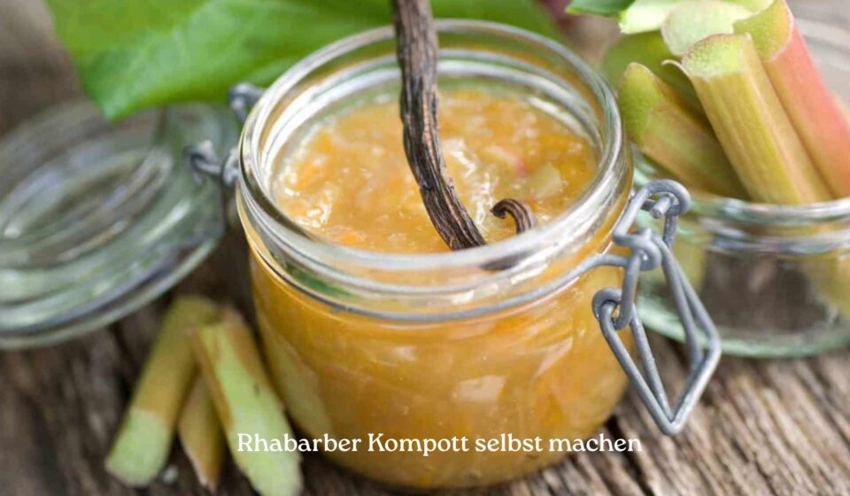 Rhabarber Kompott selbst machen