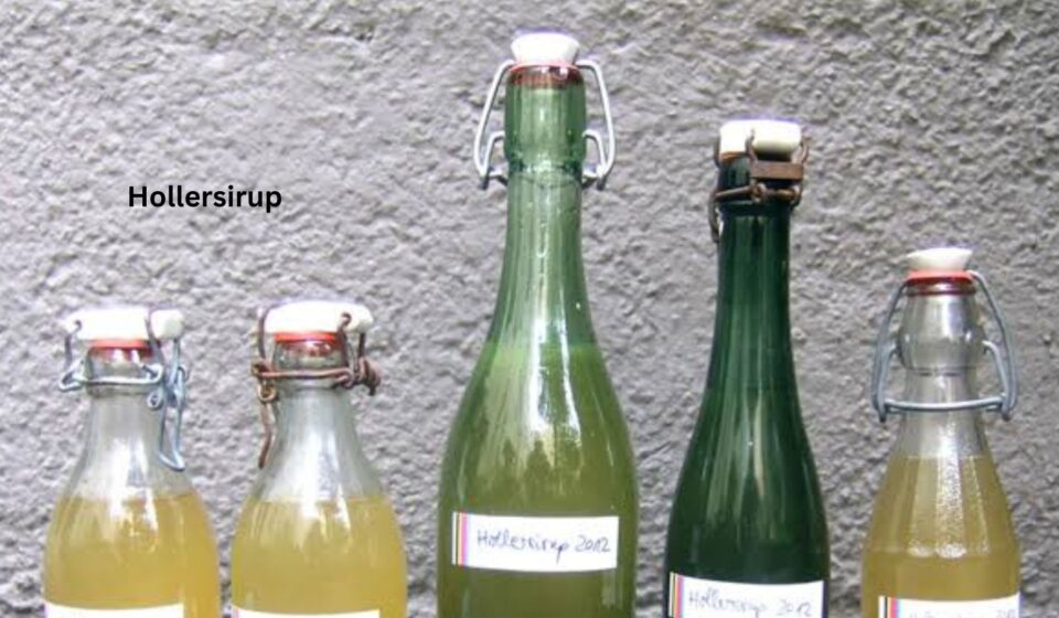Hollersirup : guide complet et usages maison Hollersirup