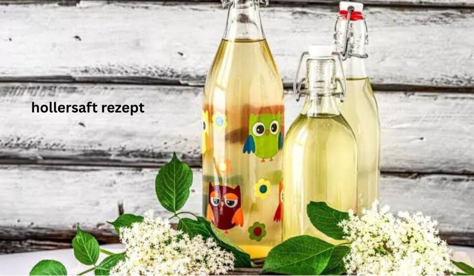 Noémie Schulz : parcours, carrière et ce qu’il faut savoir hollersaft rezept